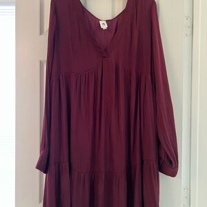 Flawless Maroon Long Sleeve Dress